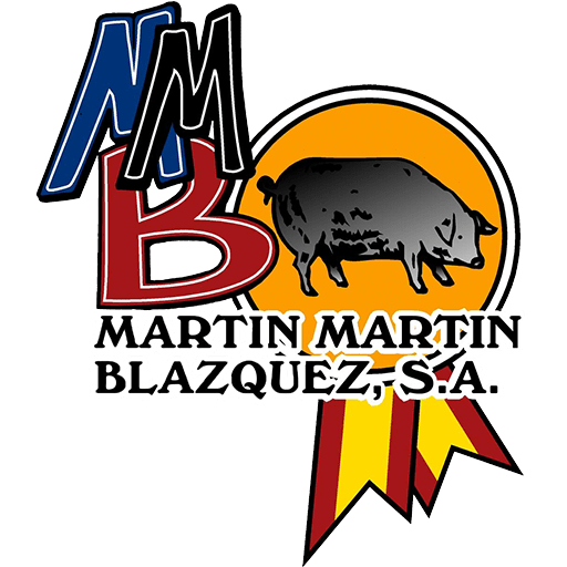 Martín Martín Blázquez